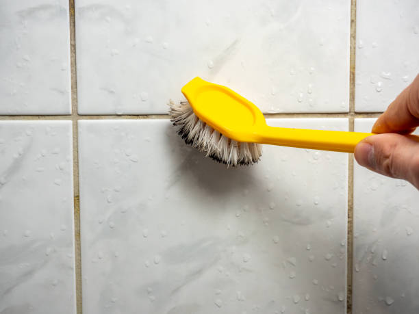 Best Mold Removal Near Me  in Mabank, TX