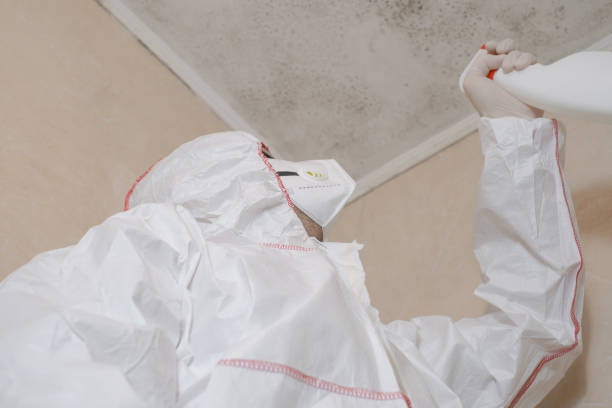 Best Home Mold Removal  in Mabank, TX