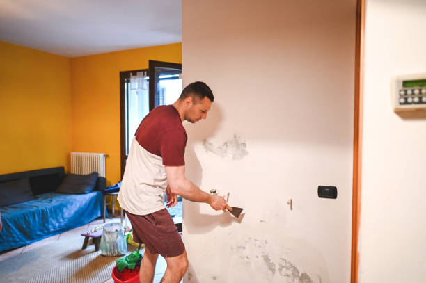 Best Local Mold Removal Service  in Mabank, TX